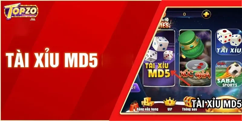 Giới thiệu về game tài xỉu md5